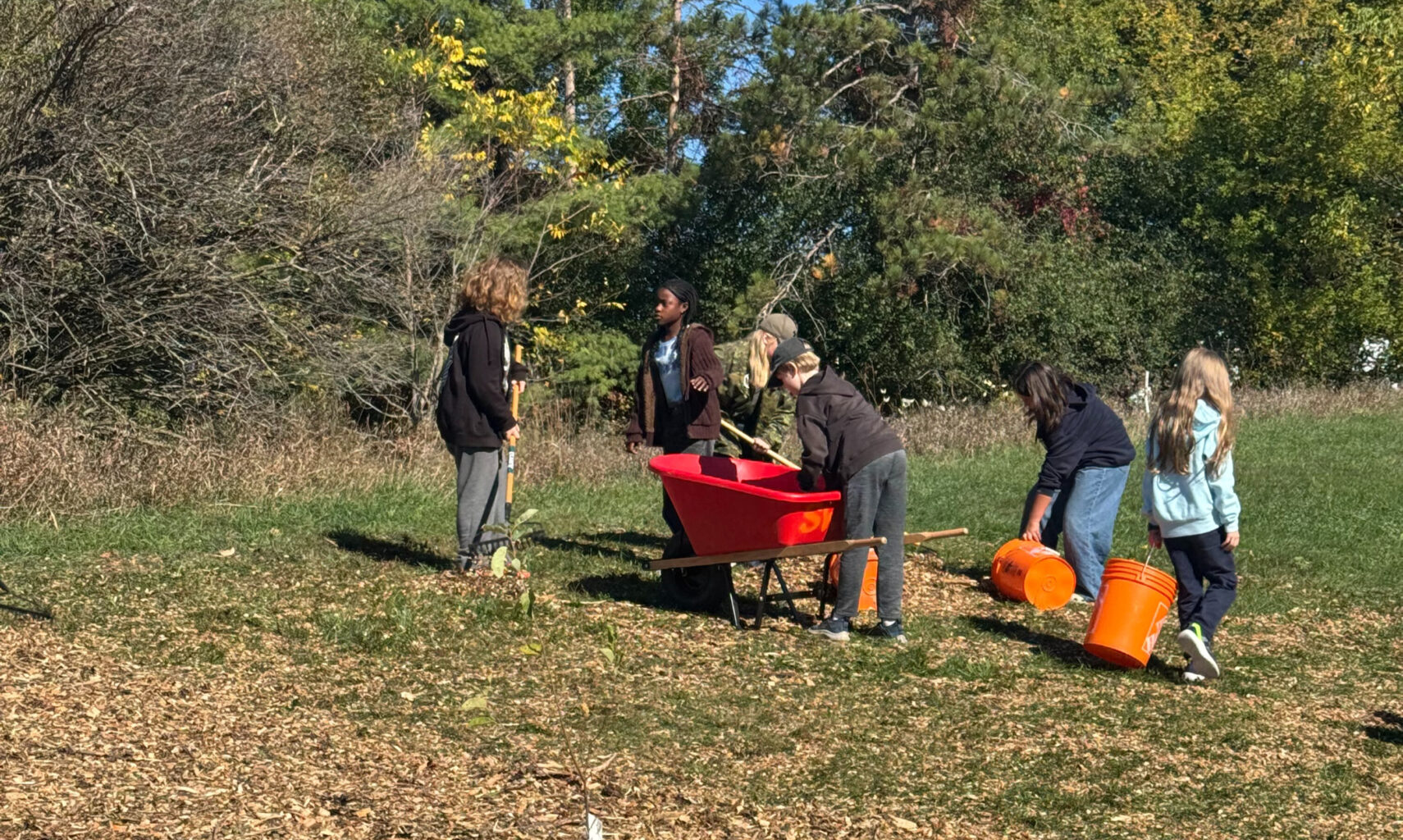 Bridgeport students planting trees