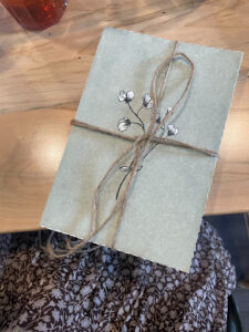 Emily's craft