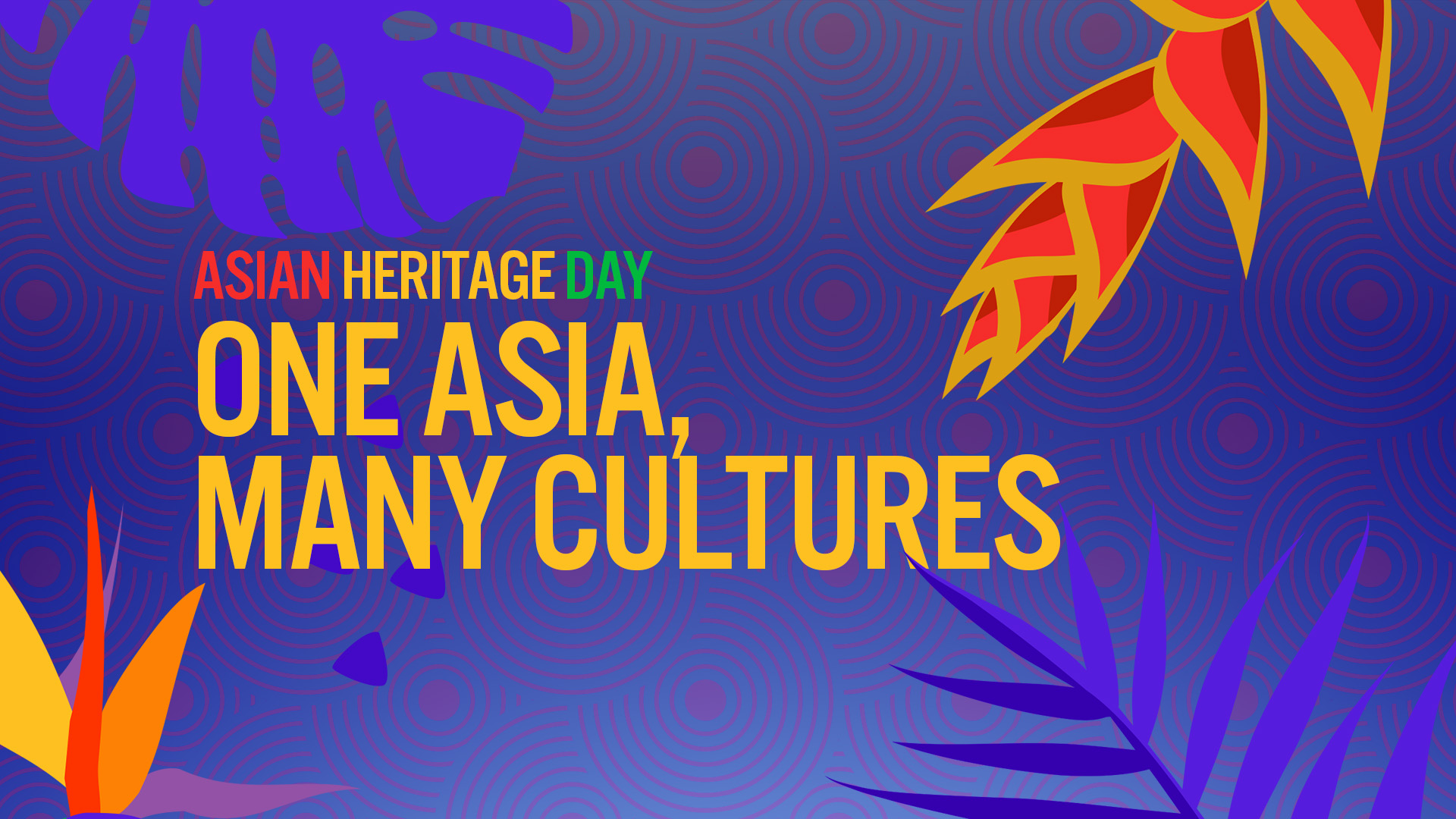 One Asia, Many Cultures web banner