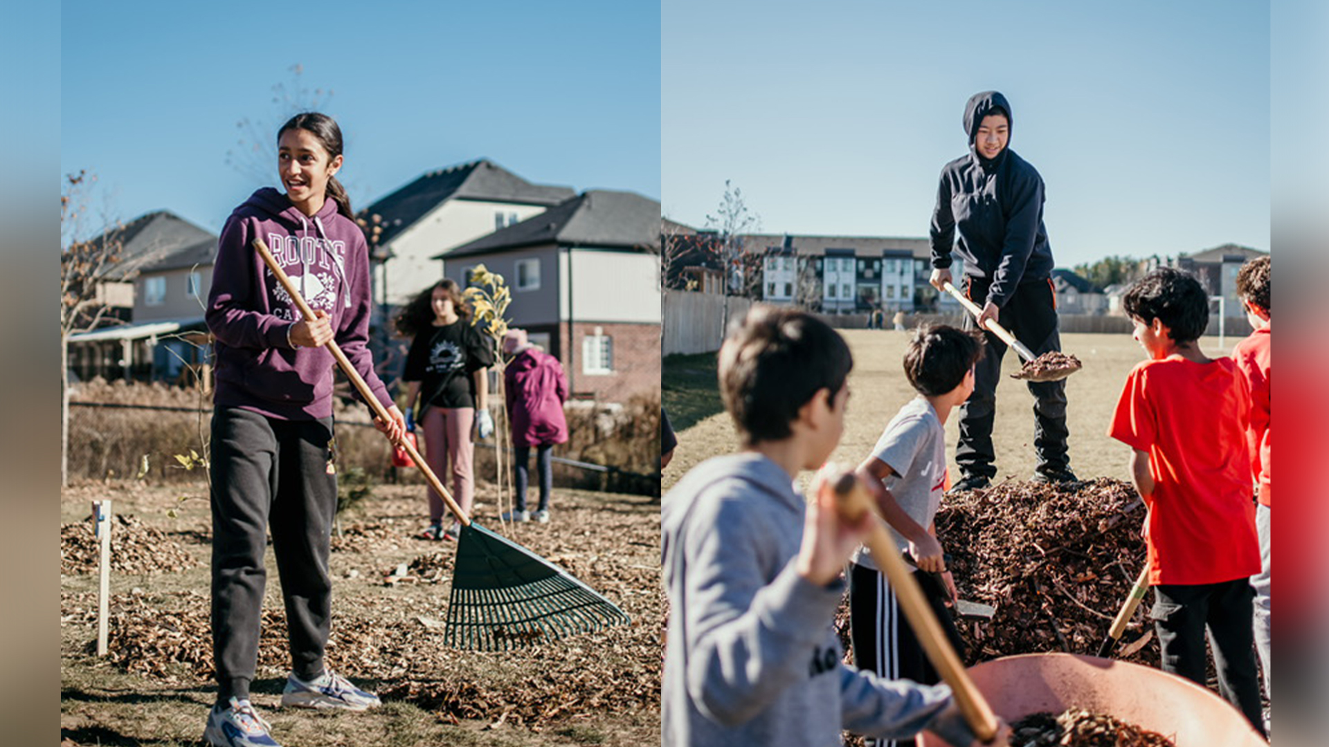 Students at Groh Public School raking leaves and starting to plant the microforest