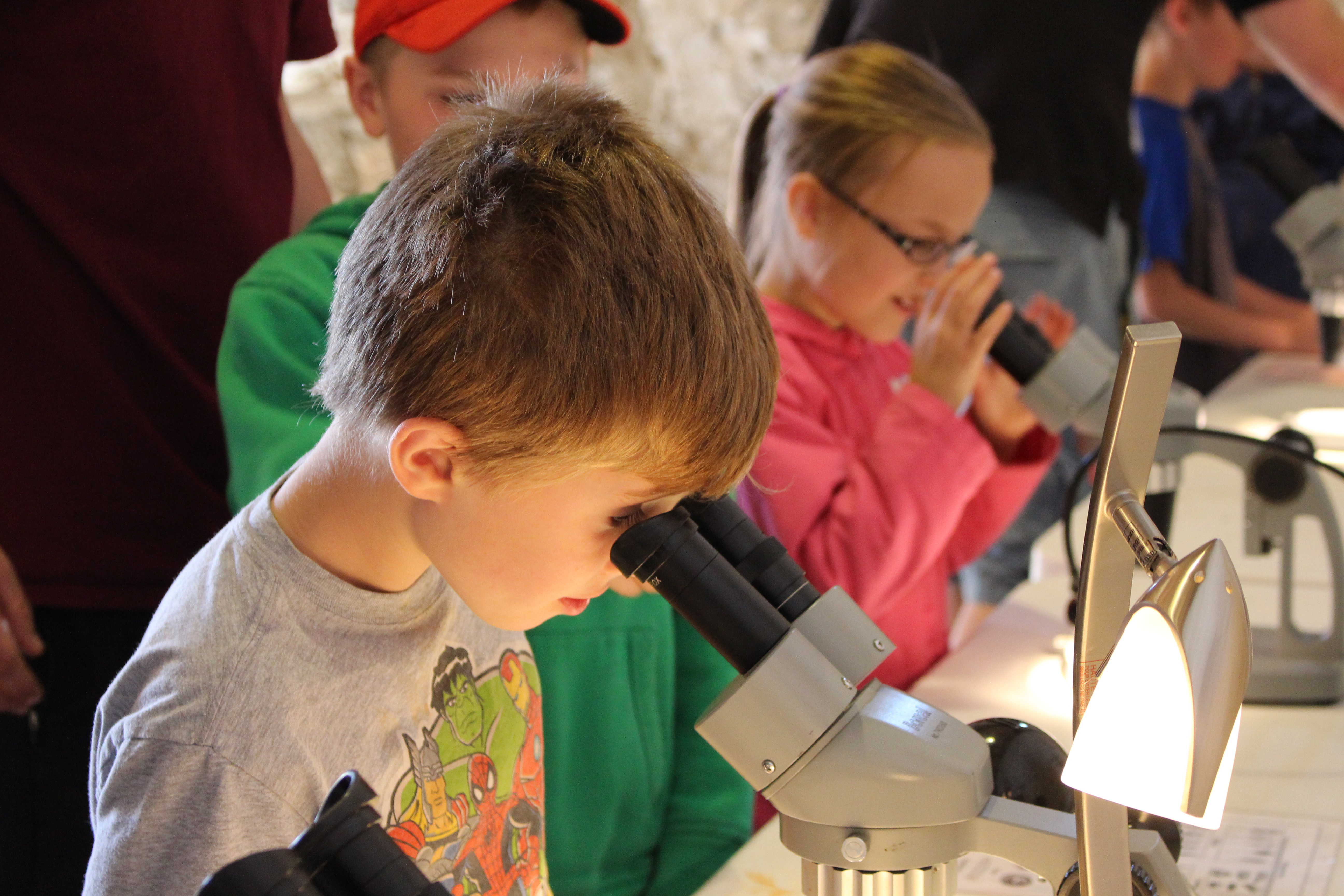Looking through the microscope and discovering small species.
