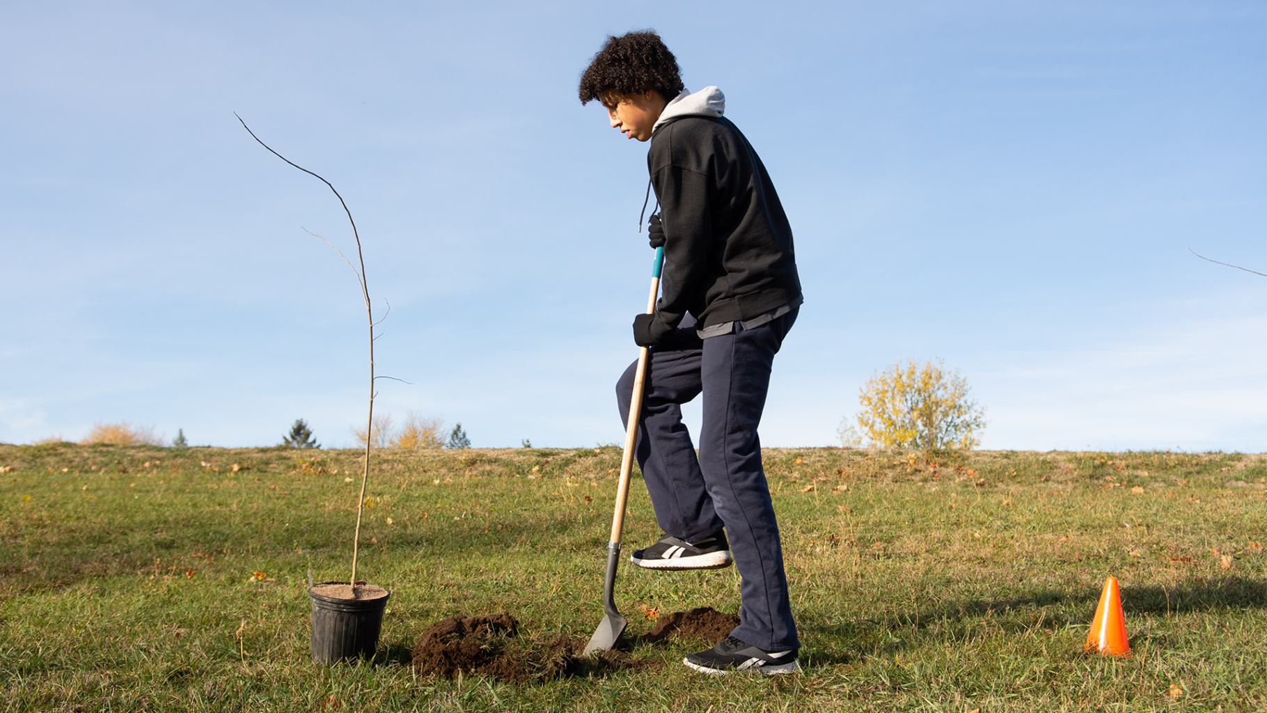 Partnership Creating Microforests Across Waterloo Region