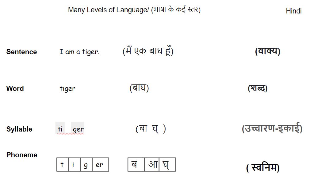 Screenshot of Multilingual Phonemic Awareness Resource showing Hindi and English words, letters, and sounds