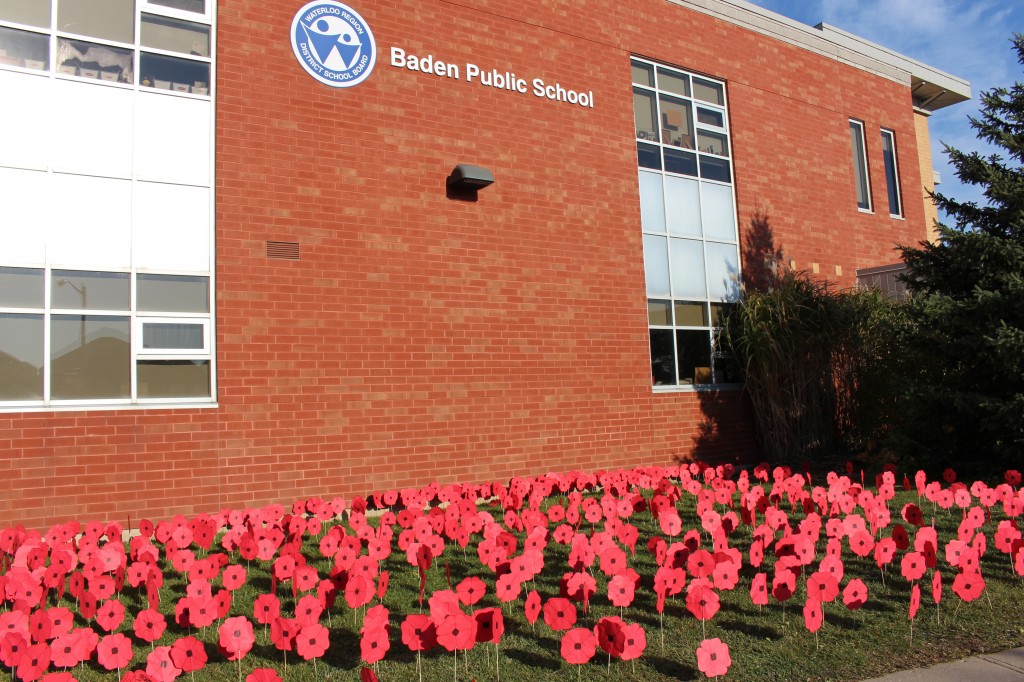 Poppies lining the front of Baden PS.