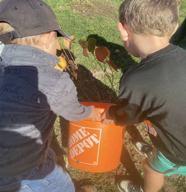 Students holding a Home Depot bucket with a tree