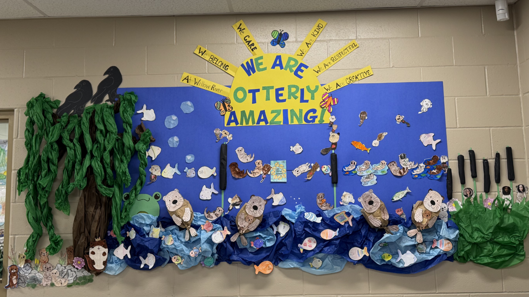 We are otterly amazing