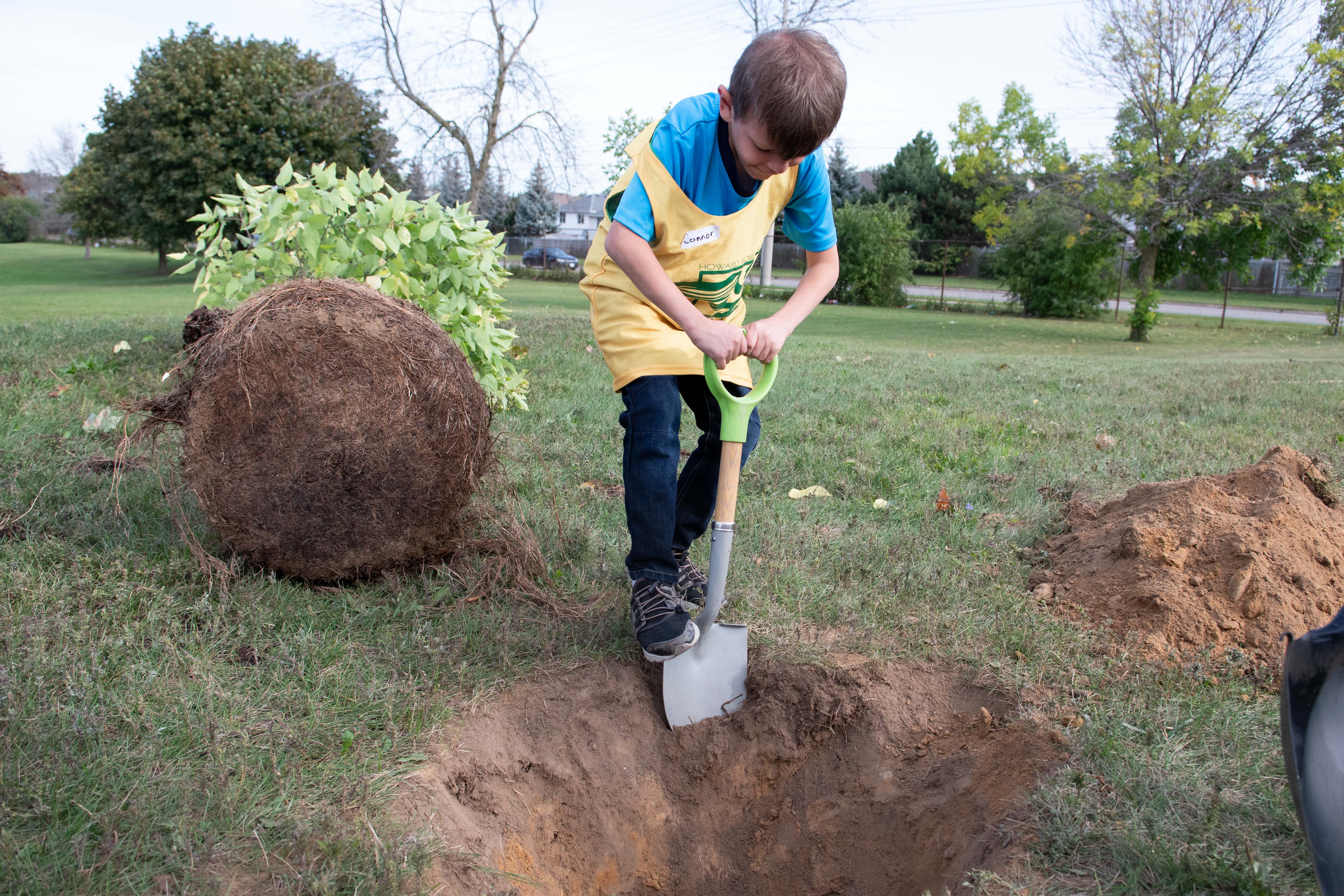 Student digs a hole to plant a tree.