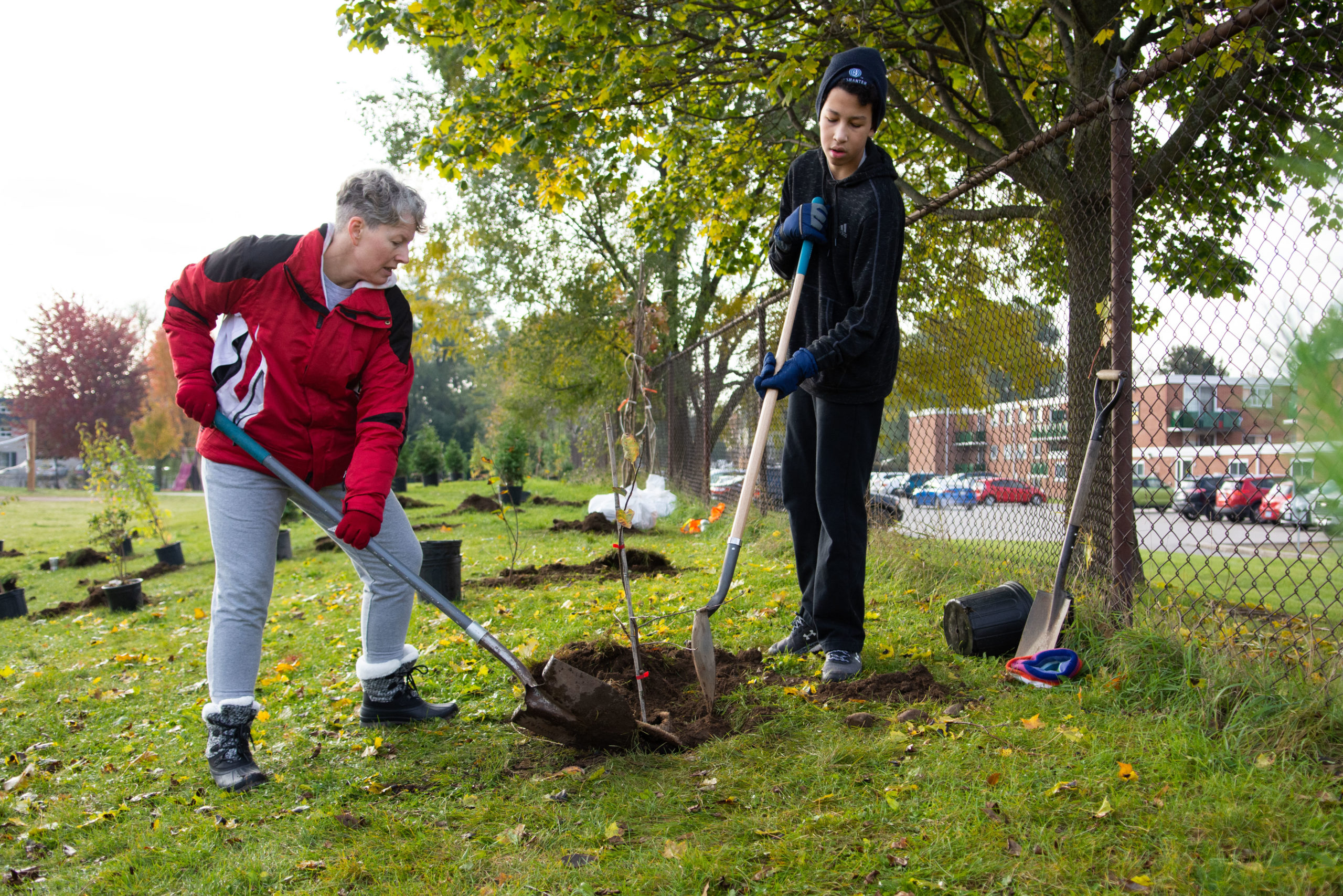 Two people work together on digging a fresh hole for a new tree at Avenue Road Public School.