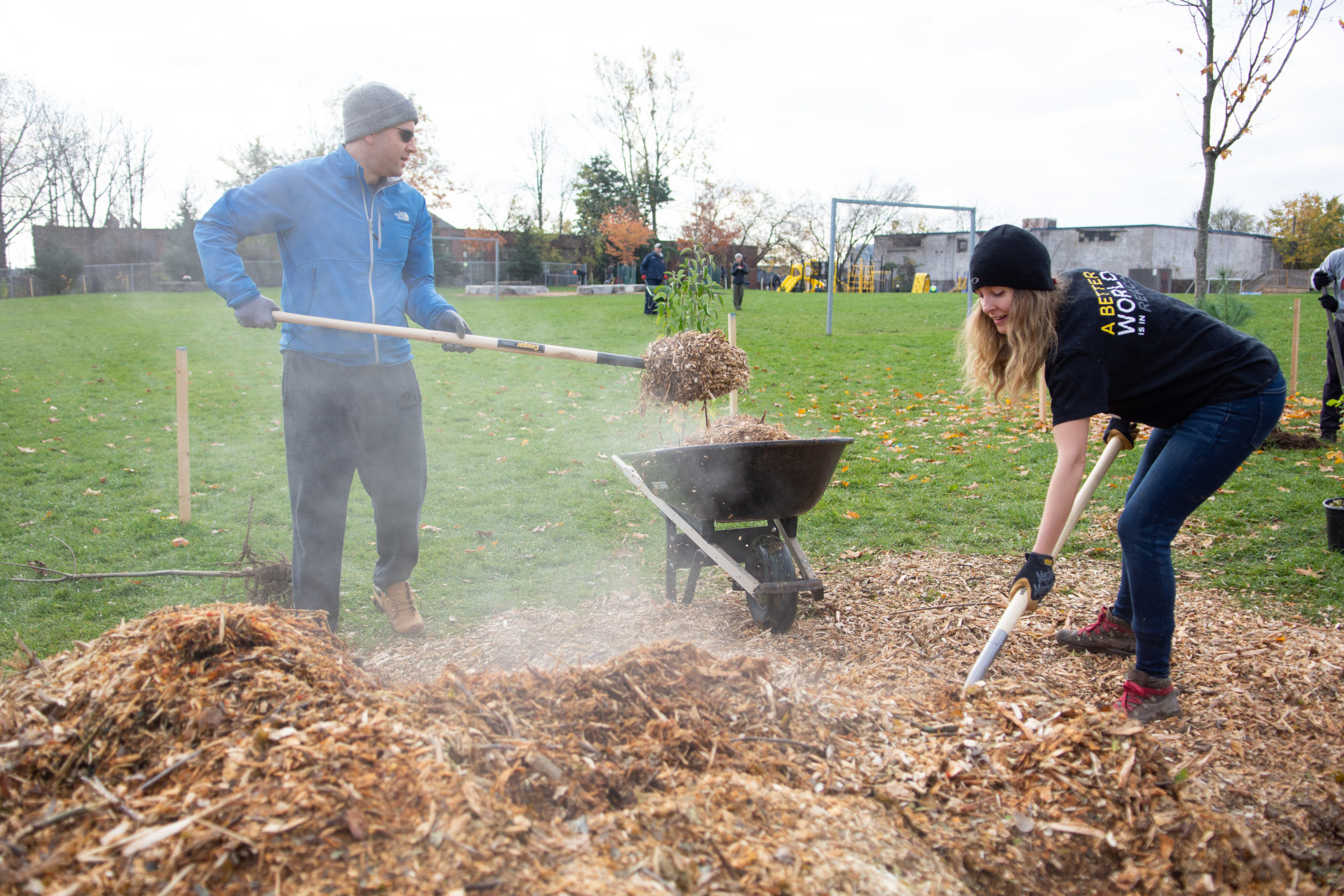 Two volunteers work together to load up a wheelbarrow with fresh, steaming mulch.