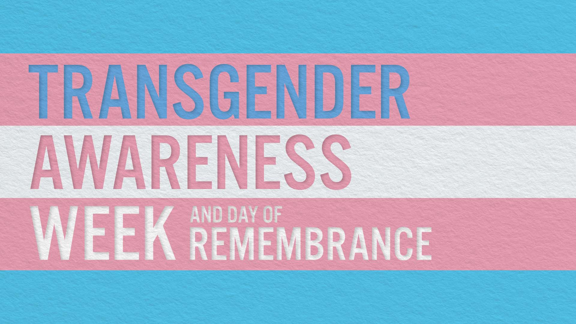 Transgender Awareness Week and Transgender Day of Remembrance - Waterloo  Region District School Board (Waterloo Region District School Board)