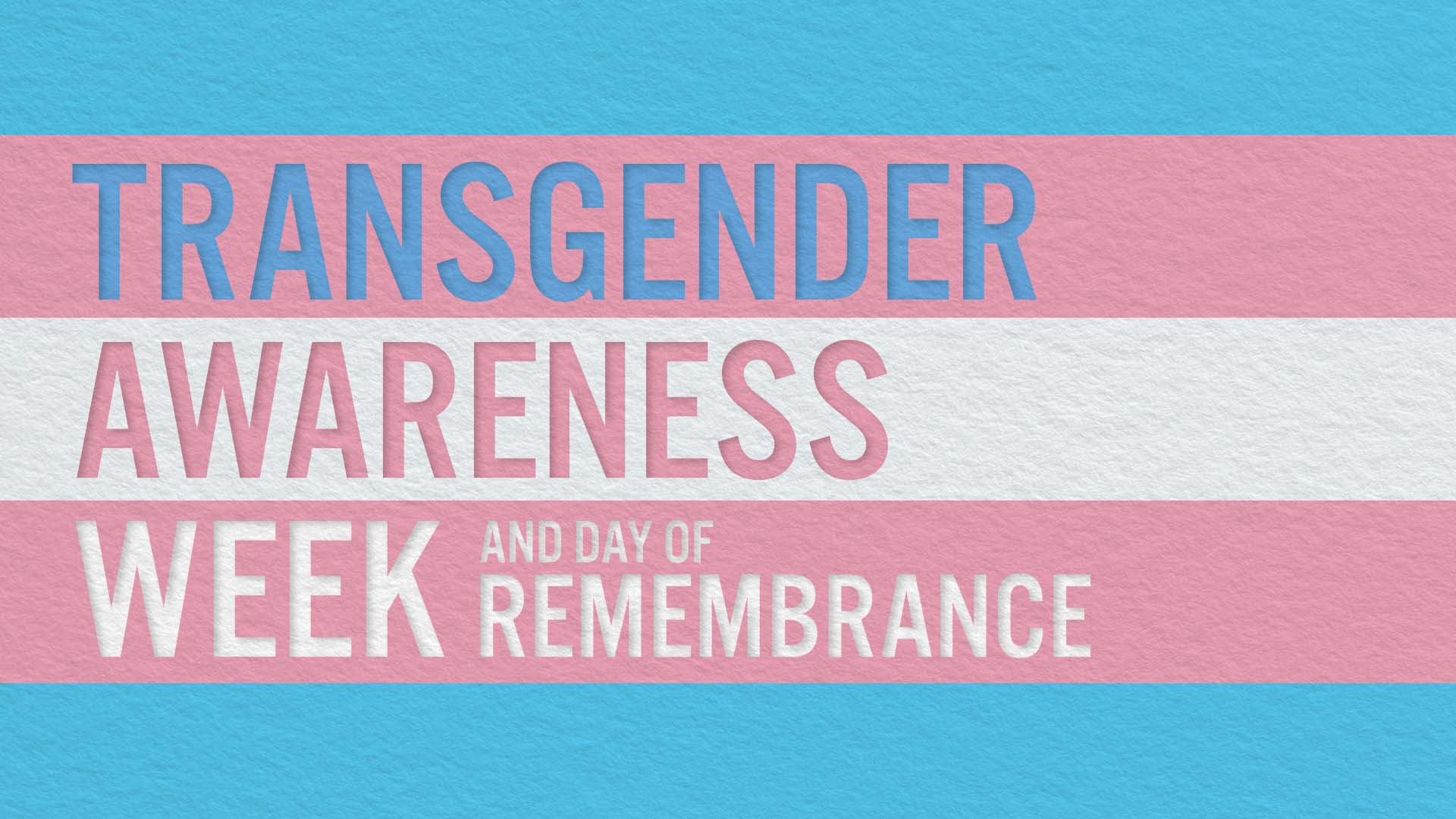 Transgender Awareness Week and Transgender Day of Remembrance