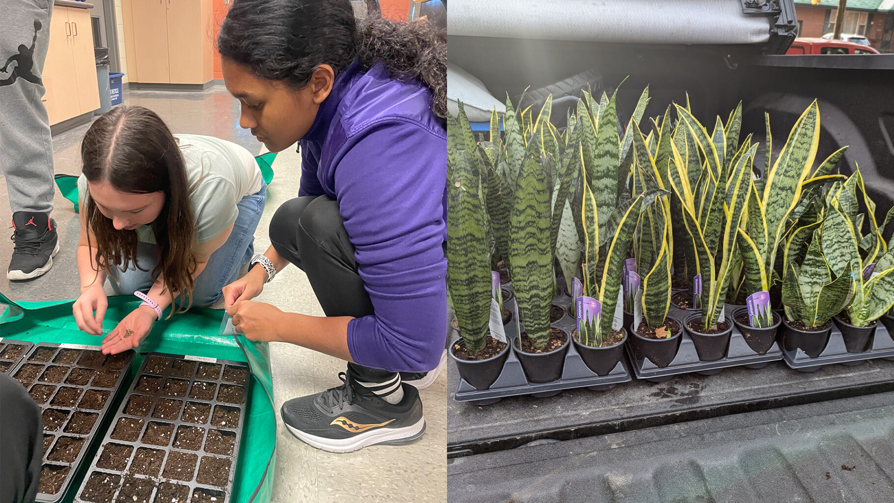 WRDSB Schools Use Funding From City of Kitchener To Support Eco-Initiatives | #StudentVoice