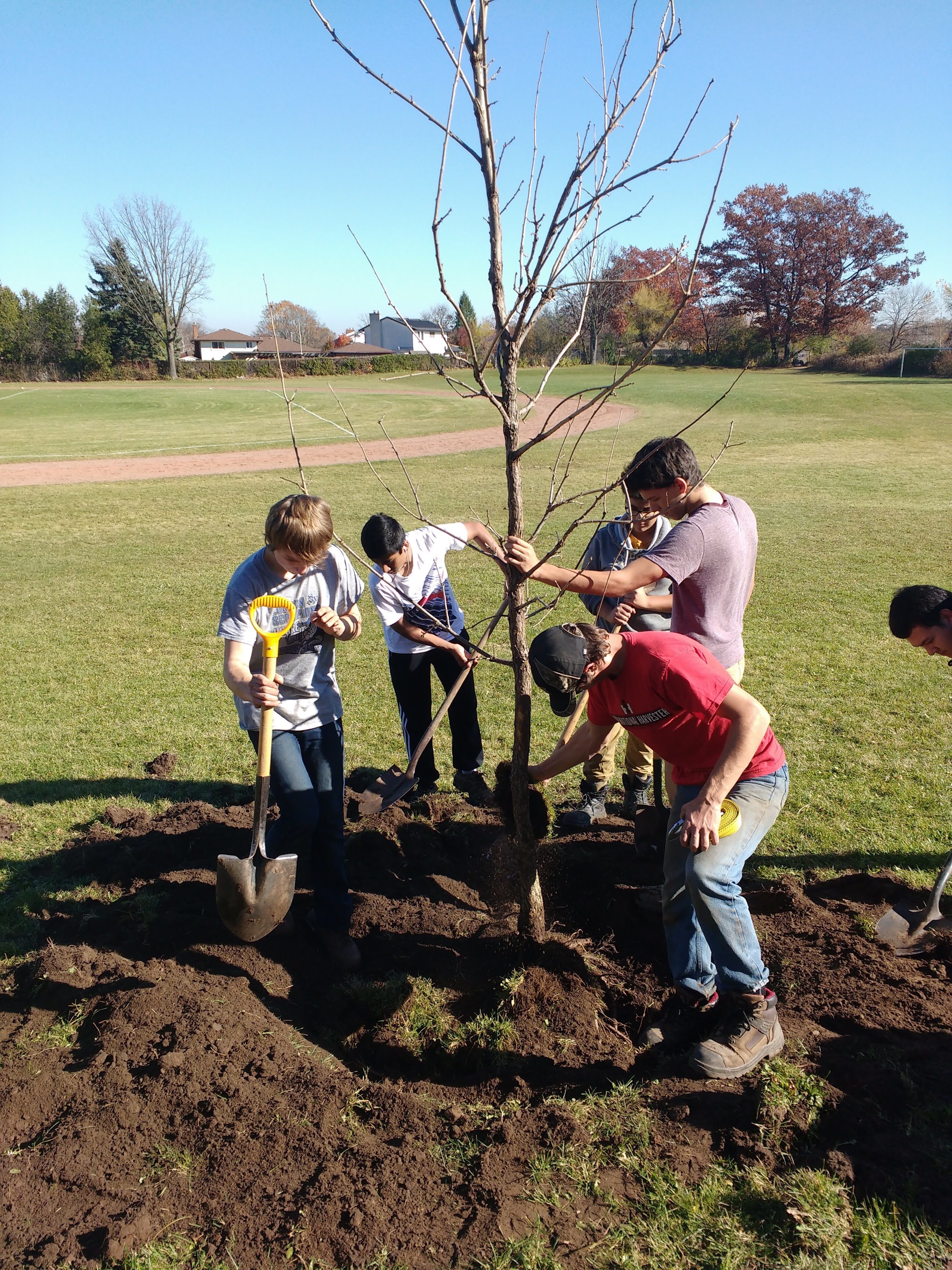 Tree planting is a great way to filter our air.