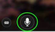 Screenshot of Microsoft translator app interface on a phone, with a green circle around the microphone icon.