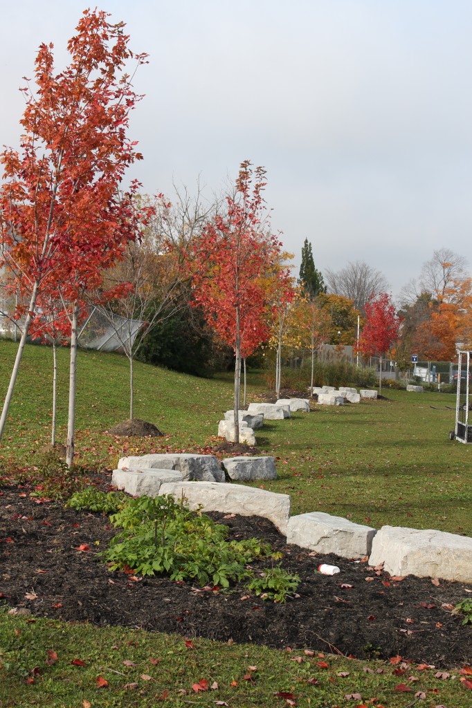 The north sports field restoration efforts brightening Kitchener's city centre.